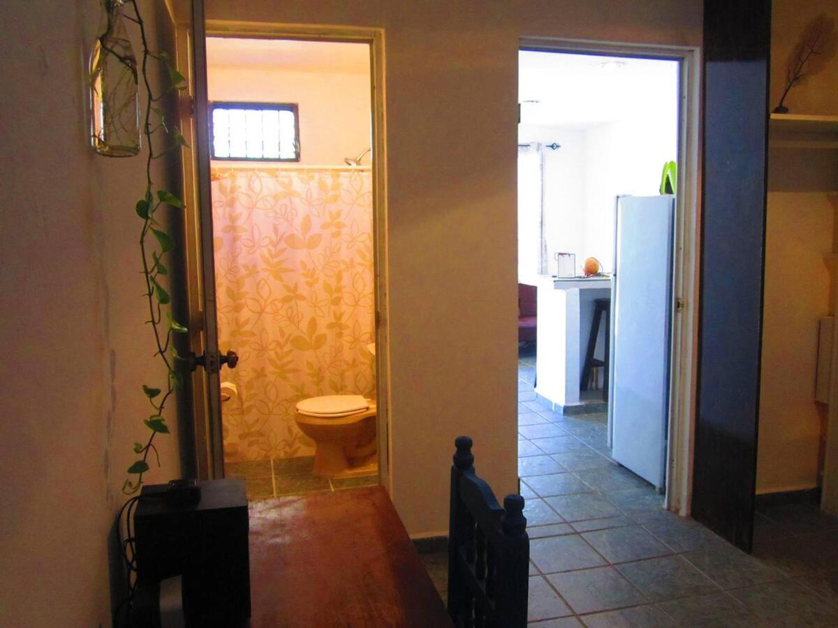 Casa De Hojas Διαμέρισμα Πλάγια Ντελ Κάρμεν Εξωτερικό φωτογραφία