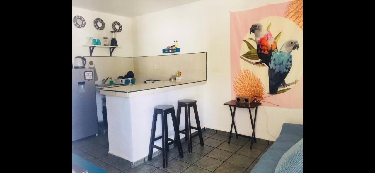 Casa De Hojas Διαμέρισμα Πλάγια Ντελ Κάρμεν Εξωτερικό φωτογραφία