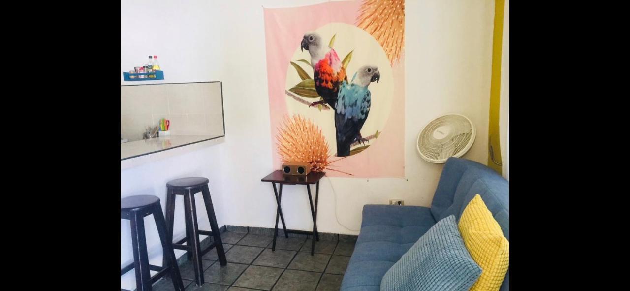 Casa De Hojas Διαμέρισμα Πλάγια Ντελ Κάρμεν Εξωτερικό φωτογραφία